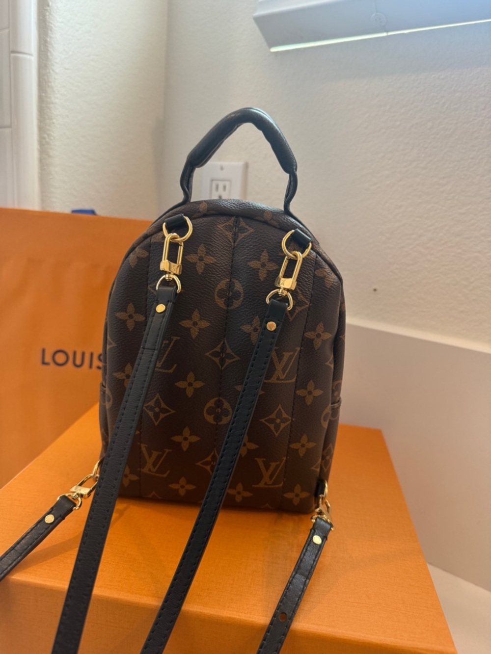 Louis Vuitton Palm Springs Mini Backpack Monogram Canvas Reverse Bag - Picture 4 of 6